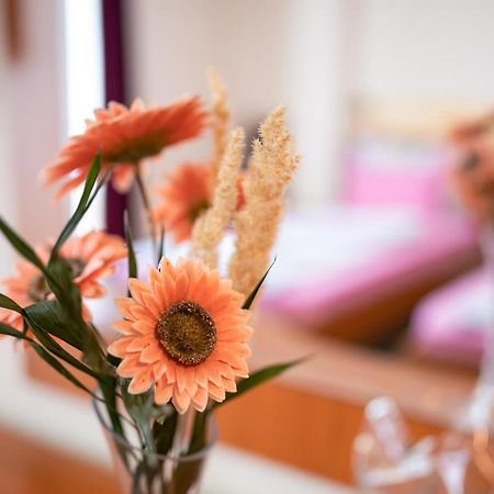 Hotel Holiday-M Охрид Екстериор снимка